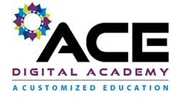 Virtual Learning Academy